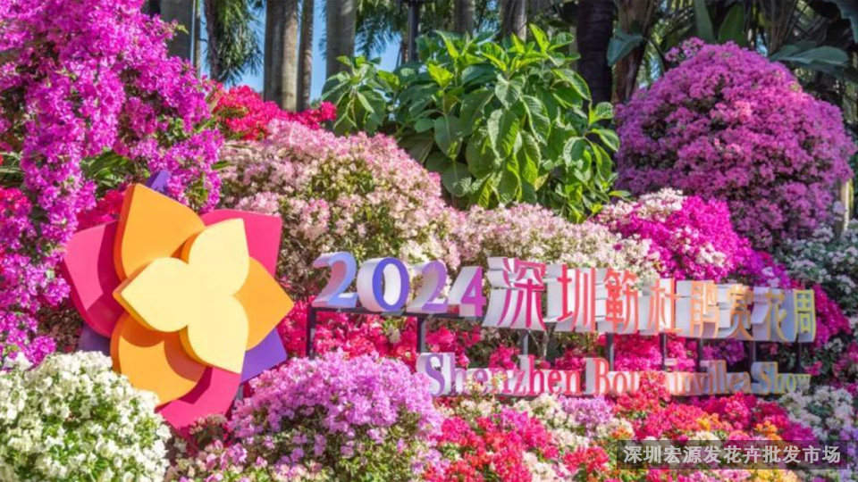 深圳花海