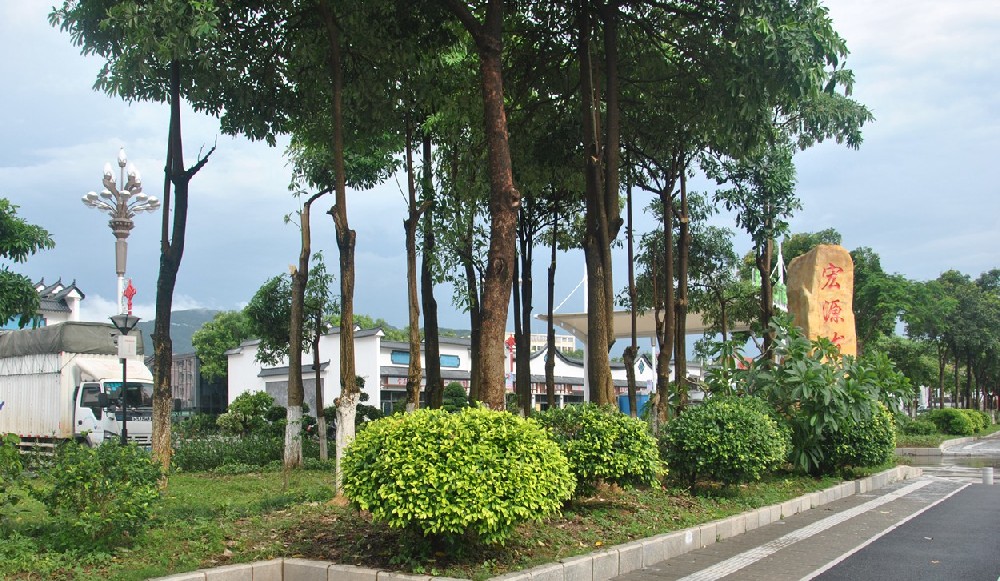 宏源发花卉批发市场