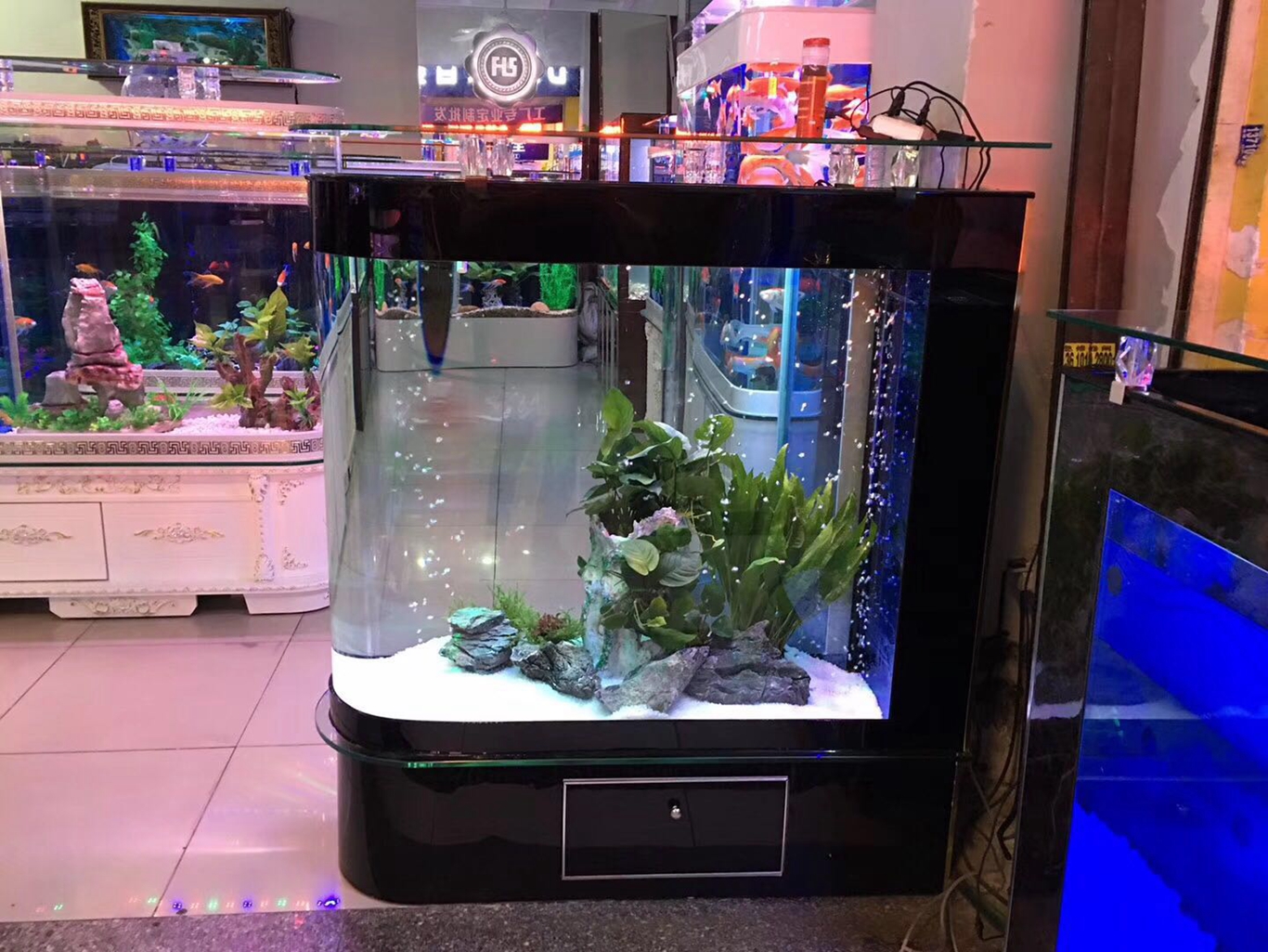宏源发花卉苗木产业园—水族篇