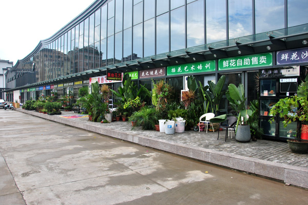 深圳花卉批发市场有哪几家